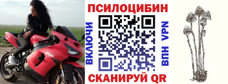 Галлюциногенные грибы Psilocybine cubensis  даркнет сайт  Тюкалинск 
